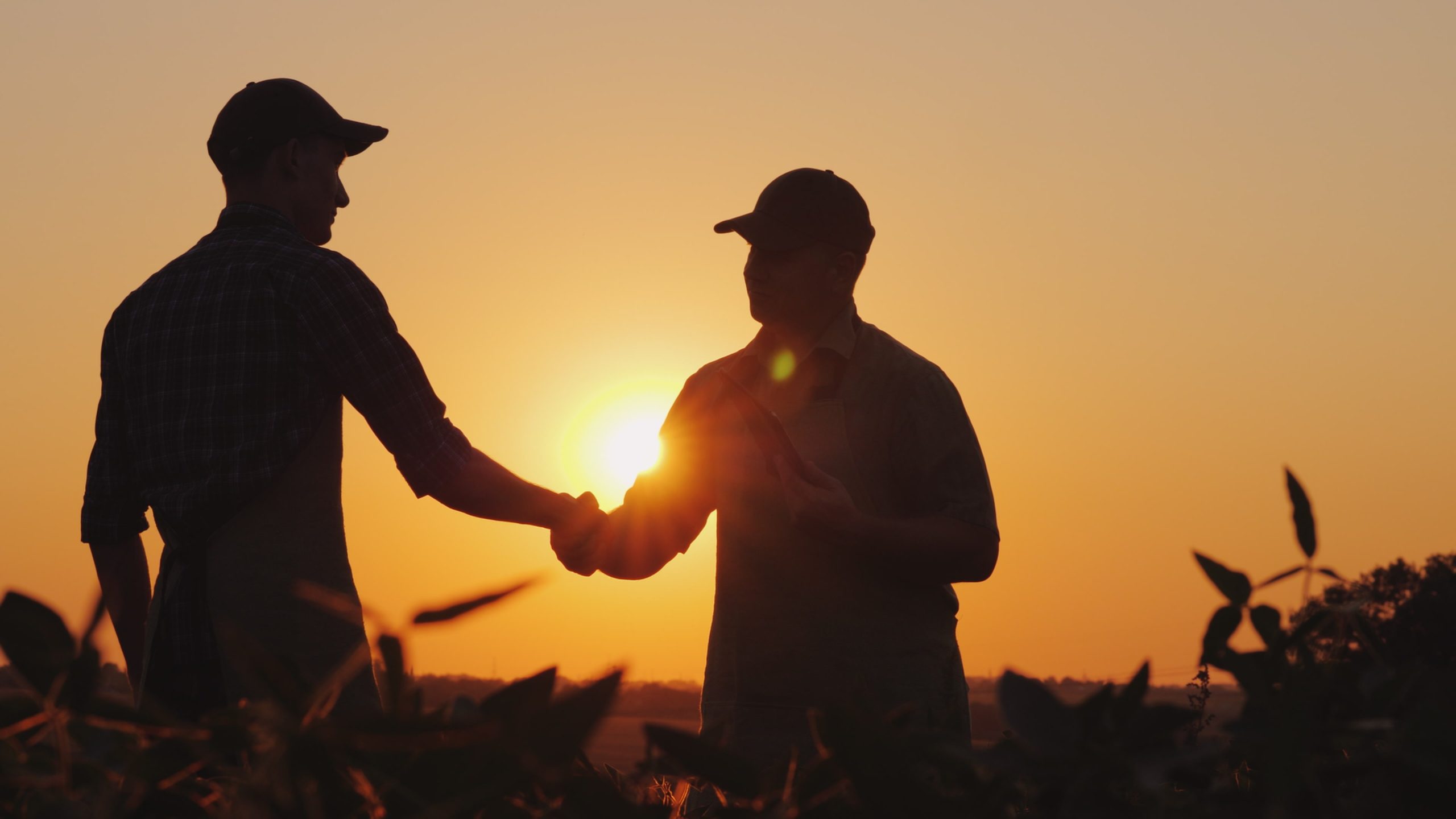 Photo of two individuals shaking hands