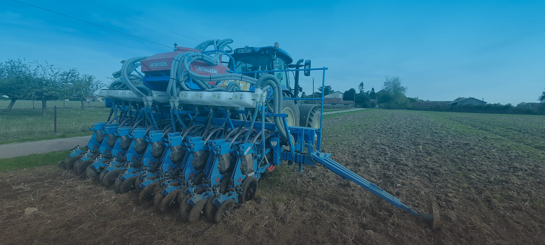 Image of cereal planting at field edge