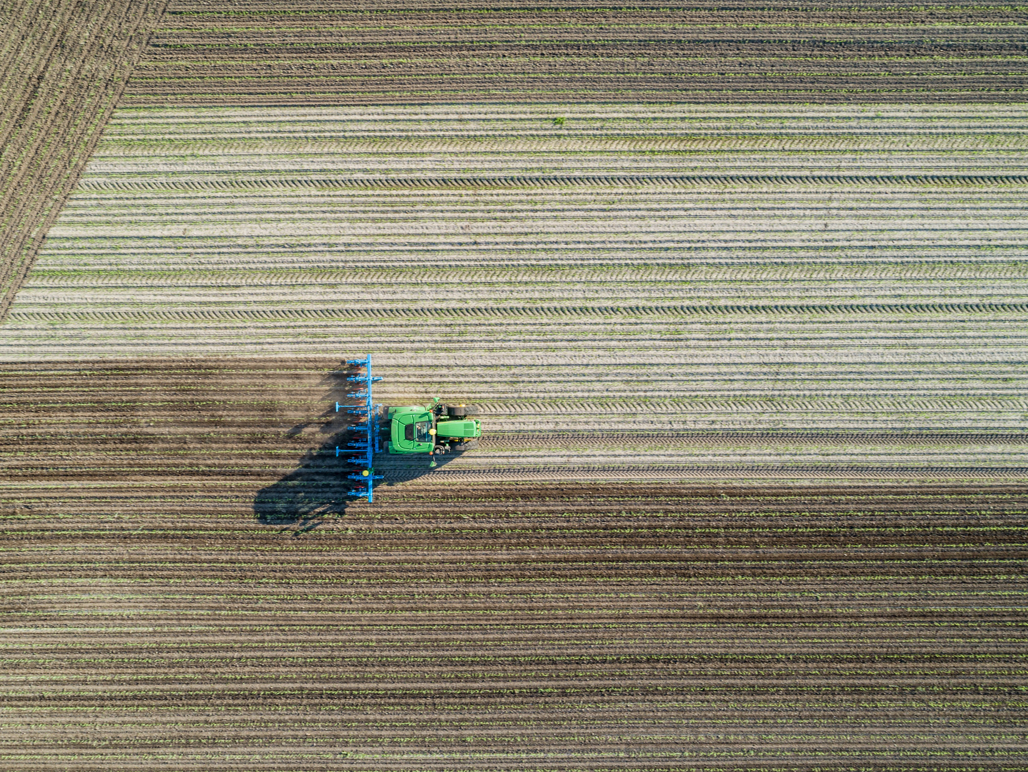 Overhead view of a cultivator in action