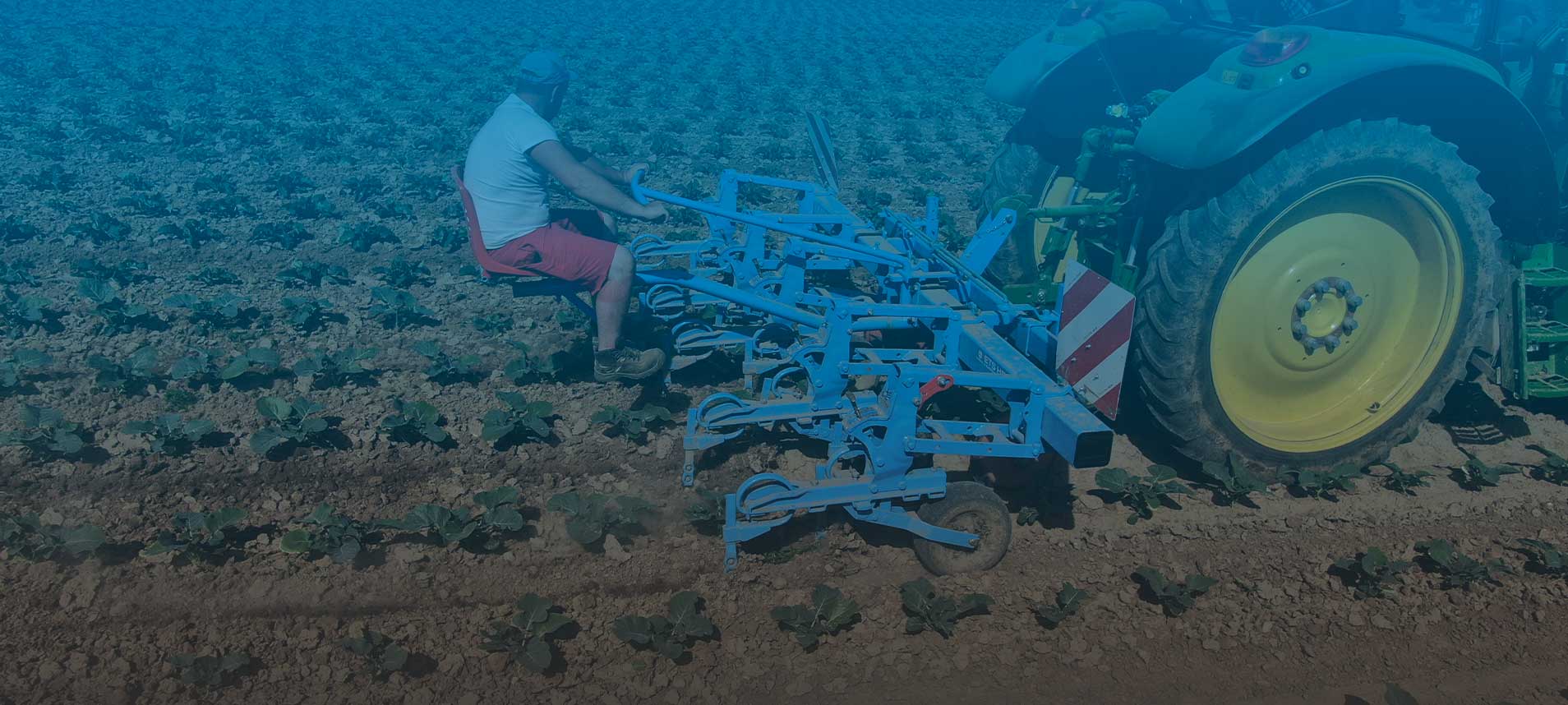 Photo of a vegetable cultivator