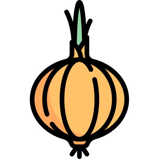 Illustration of an onion